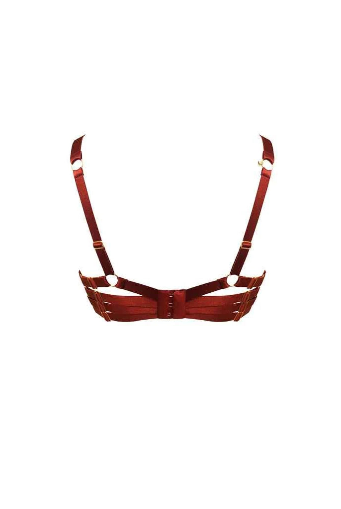 Push-Up Bra