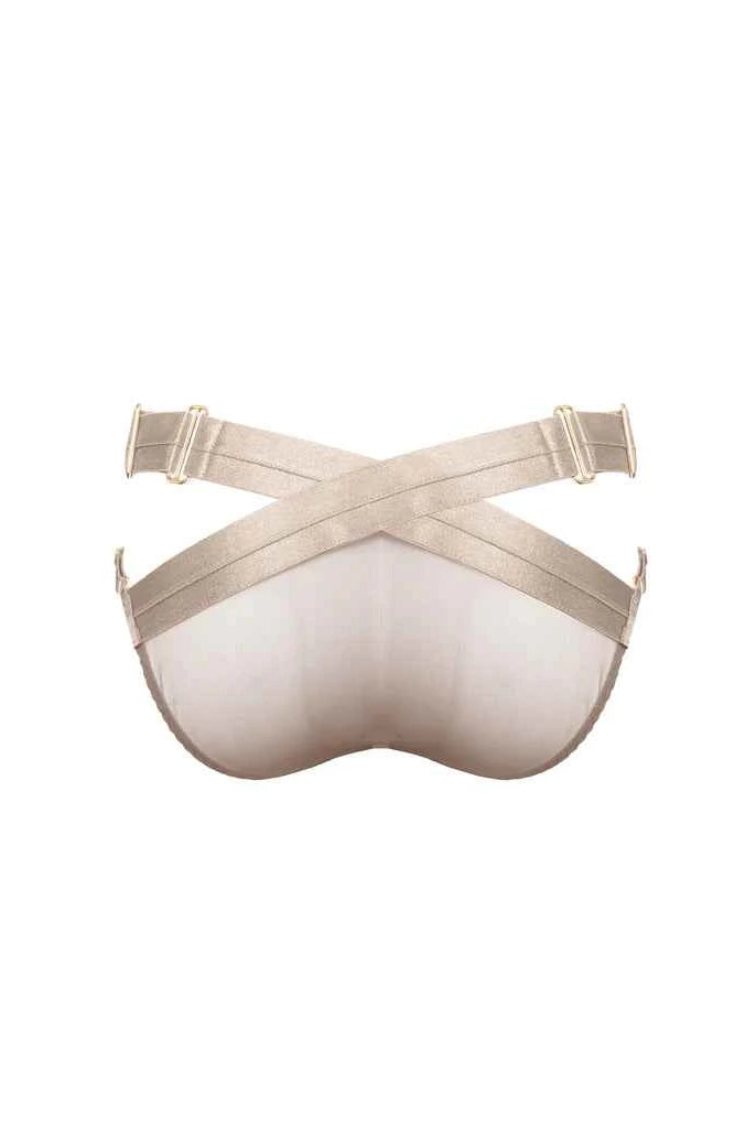 Tomoe Harness Brief